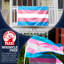 Drapeau de maison 36 po x H 60 po