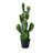 27'' Faux Cactus Plant in Pot