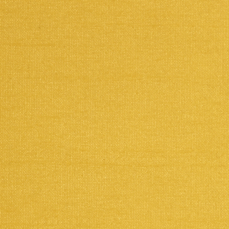 Kings Road Fabric, Aurori