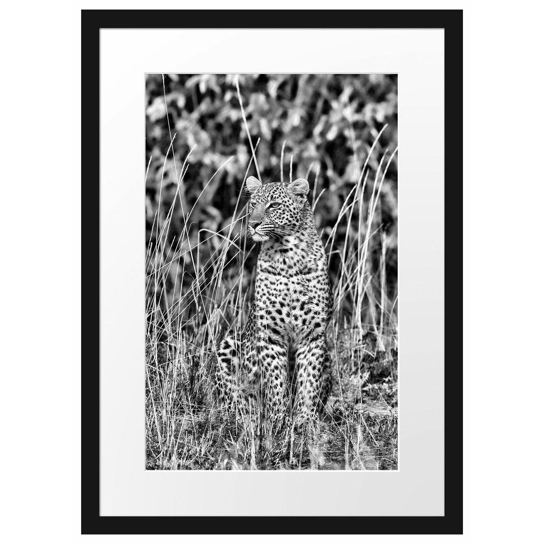 Anmutiger Leopard im hohen Gras Gerahmter Fotokunstdruck