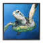 «Sheldon Turtle Portrait», reproduction d'art par estampe numérique, design par Linda Sperruche-114341317-114341319