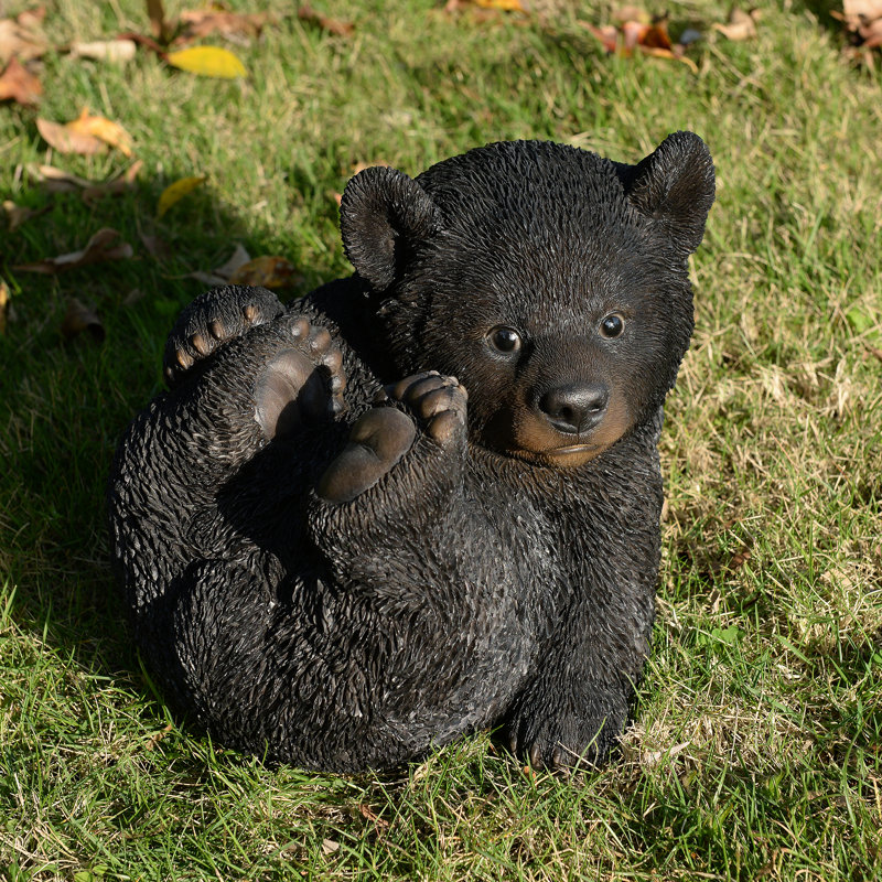 Baby Black Bear Lying