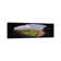 Spectators In A Stadium, Wrigley Field, Chicago Cubs, Chicago, Cook County, Illinois, USA by Panoramic Images - Wrapped Canvas Panoramic Print