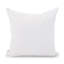 Square Indoor/Outdoor Pillow Cover & Insert-851729727