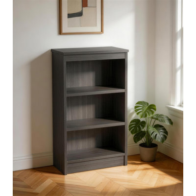 Brendetta 103cm H x 60cm W Standard Bookcase