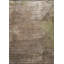 Rapture Abstract Area Rug-2059466674
