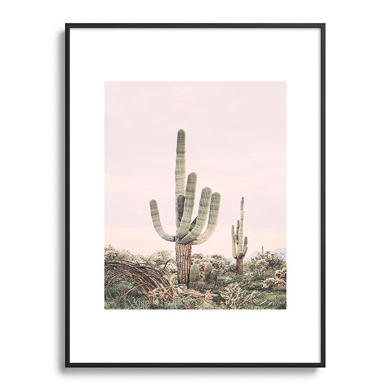 Cactus rose pastel encadré sur papier, Noir, H 24 po x l 18 po