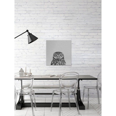 Black and White Owl - Drawing on Canvas