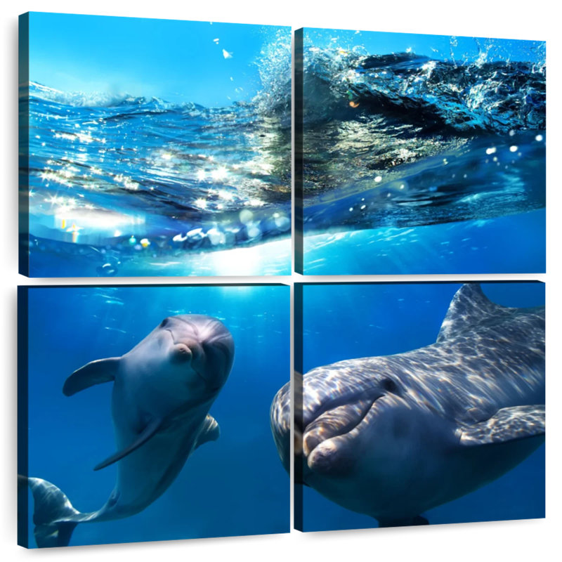 Dauphins ludiques Brampt, H 50 po x l 50 po