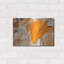 «Elephant Ears» par Judy Stalus-669553965