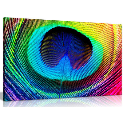 Peacock Feather Animal - Wrapped Canvas Print