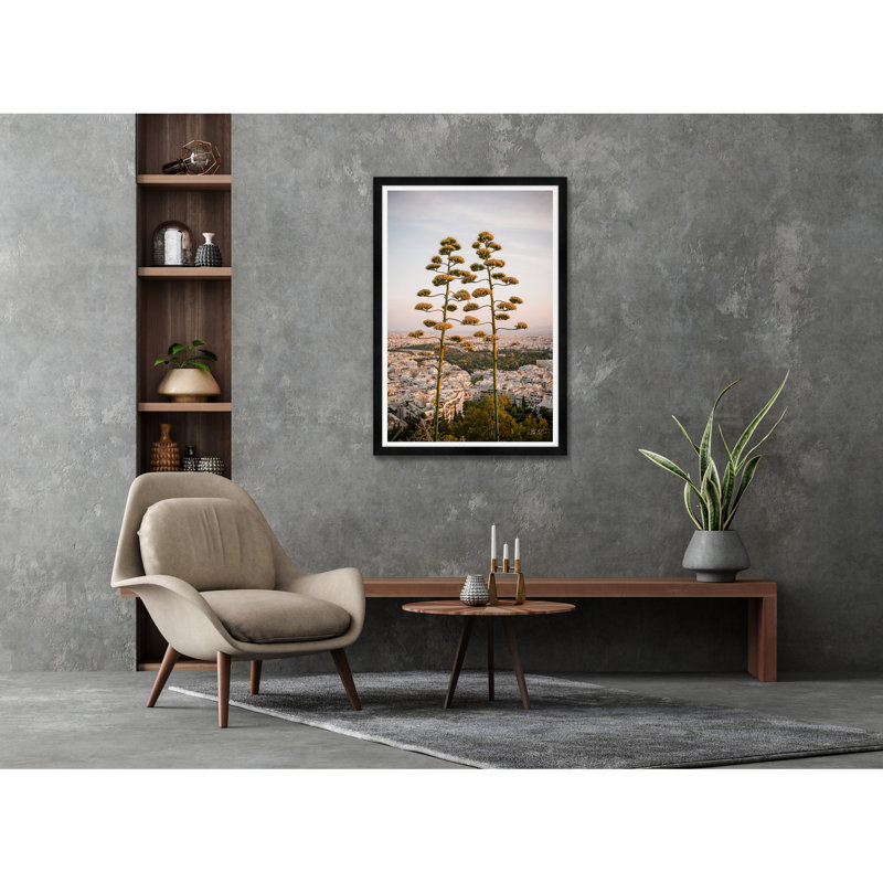 Agave sur les hauteurs d'Athènes II, Noir, H 42 po x l 29 po x P 1,5 po