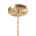 Brushed Brass