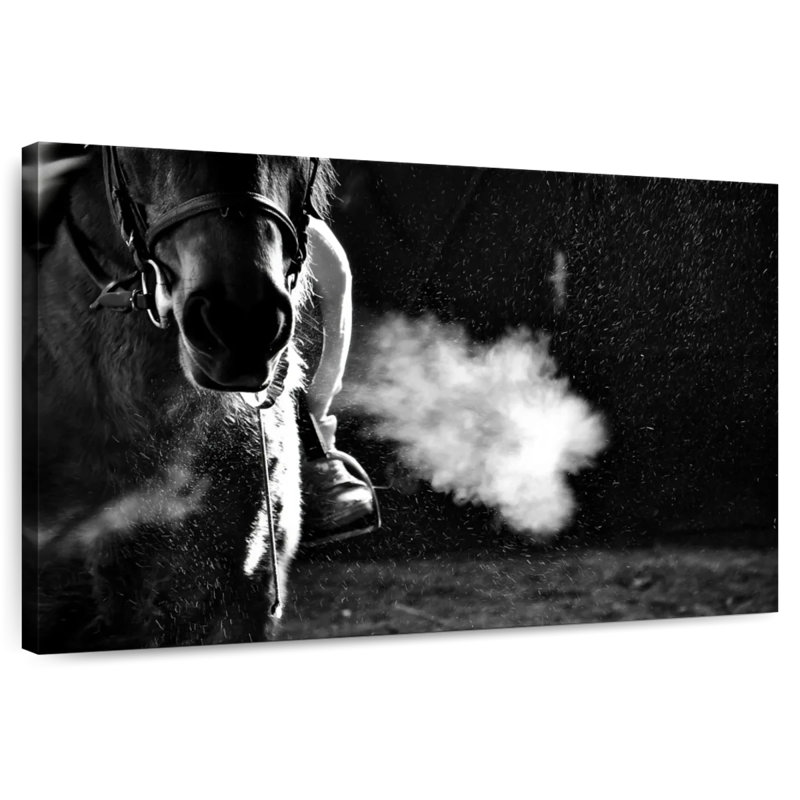 Mehar, équitation BW, H 8 po x l 12 po