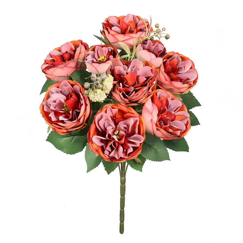 Chou rose, Rouge-orange