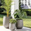 Pot de fleurs Dorlis Fiberstone-930299748-930299751