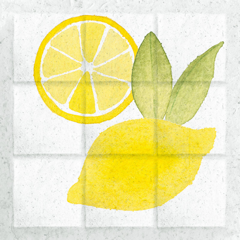 Citrus Tile VI by Elyse DeNeige - Wrapped Canvas Painting, 76cm H x 76cm W x 3.8cm D