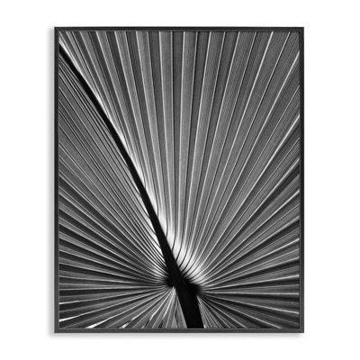 «Palm Frond», art par Chip Forelli bg-127