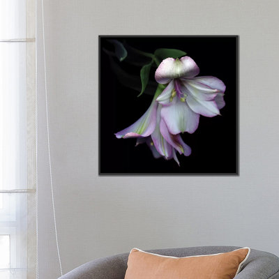 «I Feel Pretty, Ooohh So Pretty», reproduction de photo sur toile tendue