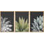 «Trio Of Echevaria Succulents Floral Plants», reproduction sur toile 3 pièces-90847506-90847509
