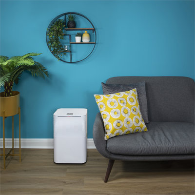 Compressor Dehumidifier