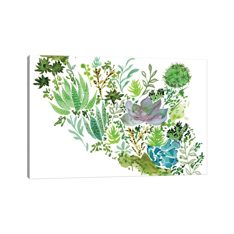 Succulent Field II by Melissa Wang - Wrapped Canvas Painting