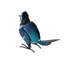 Statue miniature en métal bleu Jay