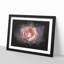 Pink Tipped Rose Flower - Picture Frame Graphic Art Print-56861650-56861653