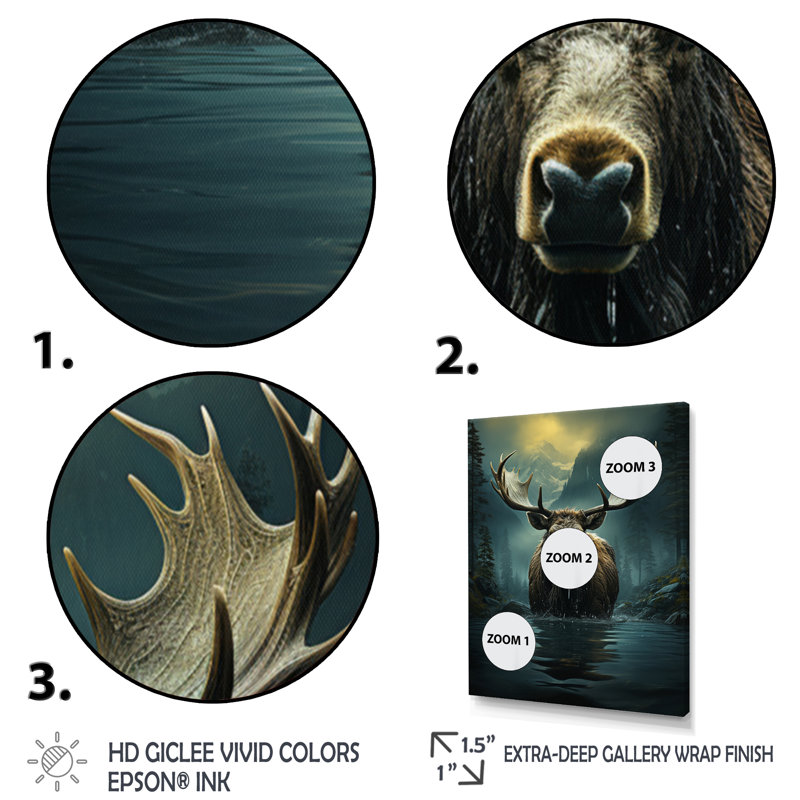 «Audre Blue Moose Coastal Wanderer», reproduction sur toile, H 20 po x l 12 po x P 1 po, Cadre photo noir