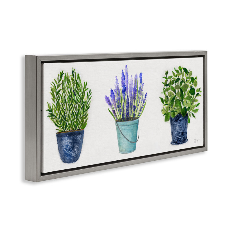 Plantes et herbes variées en pot, Cadre flottant gris, H 11 po x l 25 po