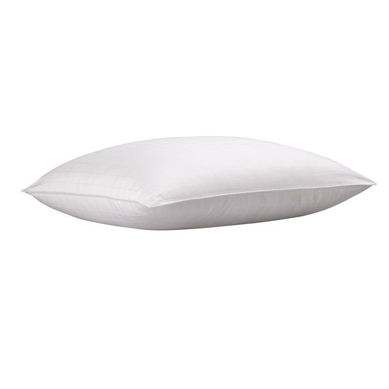 Coussin Dejesus, Très grand