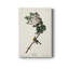 Pl. 119 Vireo à gorge jaune - reproduction d'art sur toile tendue-1850399225