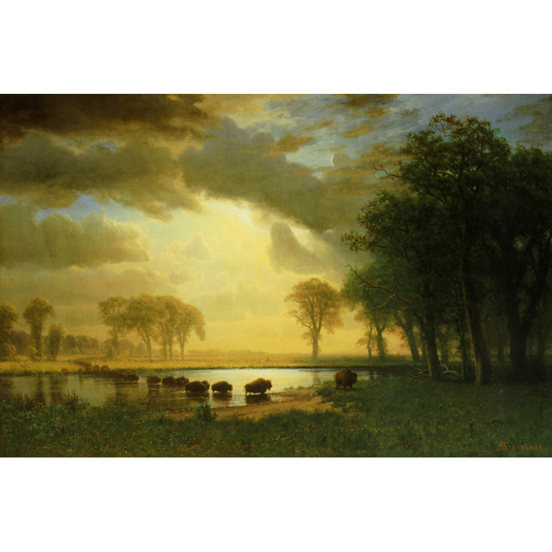 Le sentier Buffalo, c.1867 MCG-PF1077, H 26 po x l 40 po