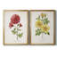 «Botanical III», ensemble de 2 reproductions d'impressions-568685740-568685776-568685777