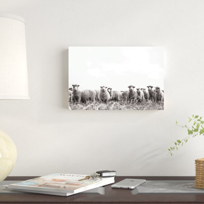 " Black And White Sheep Herd "