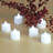 Cool White-21270581