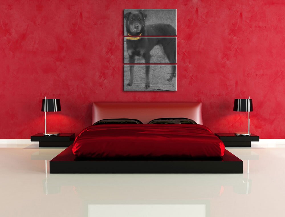 3-tlg. Leinwandbilder-Set Prächtiger großer Rottweiler, Fotodruck