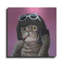 «Bob Cat» par Lucia Heffernan - reproduction d'art sur métal sans cadre-2101416633