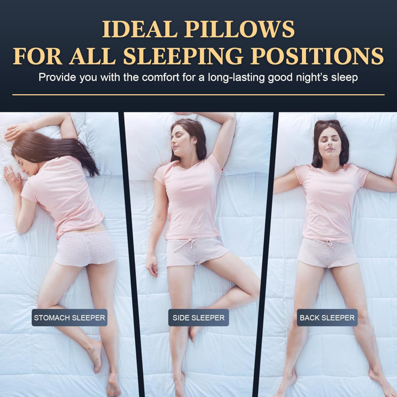 Hayek Down Alternative Plush Support Pillow