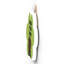 Gruia Wall Decor