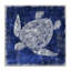  «Rustic Indigo Turtle» par Paul Brent-1487843606