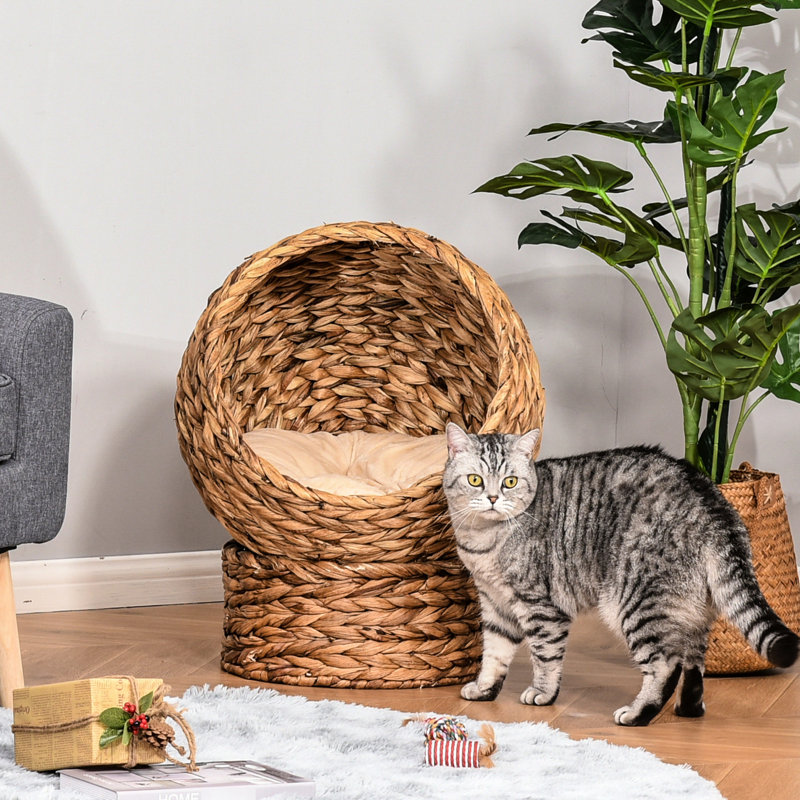 Lit pour chat surélevé tissé à la main avec coussin lisse et confortable, pour chats d'intérieur, H 23,5 po, panier de nid surélevé brun doux, animaux de compagnie