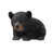 Baby Black Bear Crawling