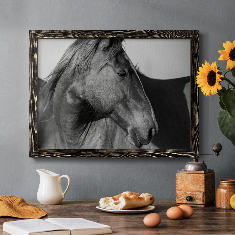 «Flint Hills Wild Horse», reproduction d'un seul cadre photo sur toile, H 26 po x l 38 po x P 1,5 po, Noir