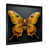Black Single Picture Framed