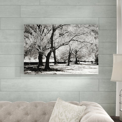 « imaginaire oaks », reproduction de photo sur toile tendue