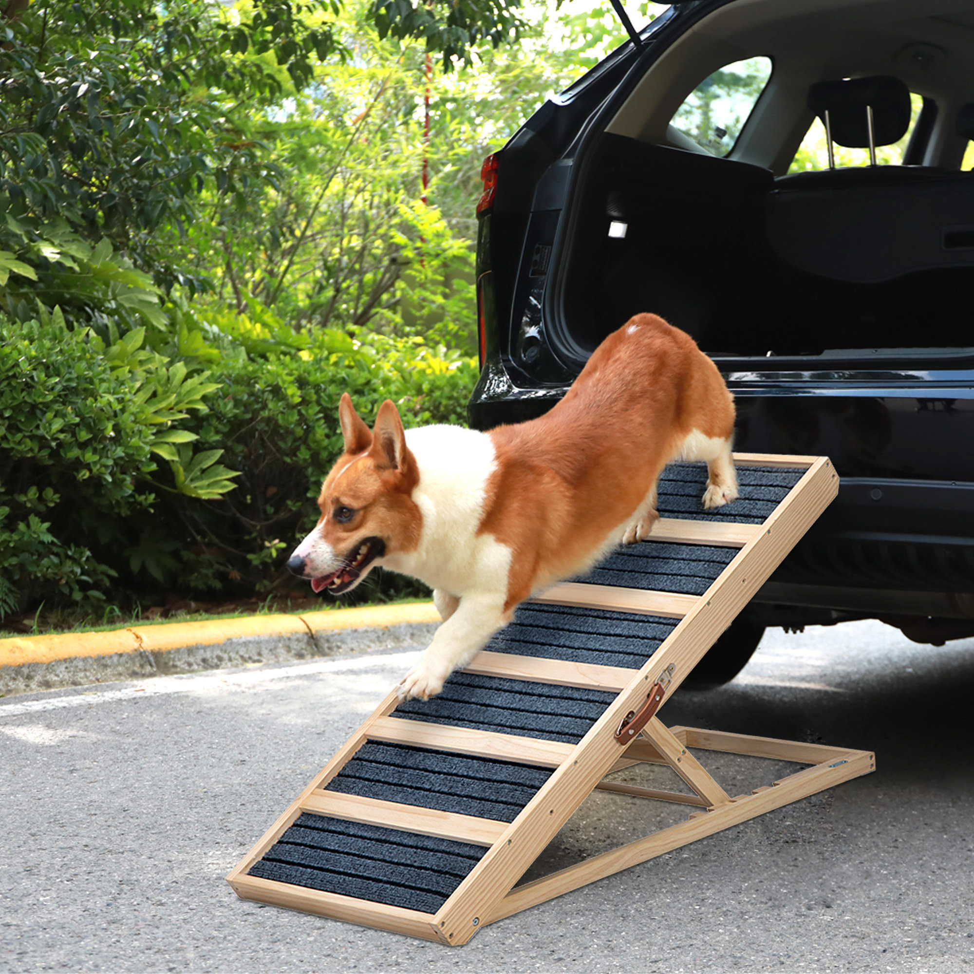 Corgi ramp on sale