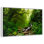 Forest Stream
