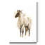 «Rustic Horse II», reproduction d'art sur toile tendue-1716753976