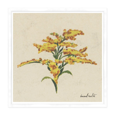 Goldenrod Print